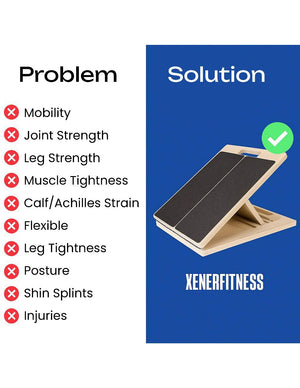 XENER BOARD