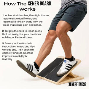 XENER BOARD